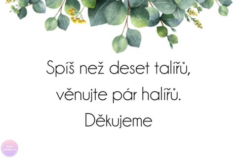 EUCALYPTUS 01 kartička dary