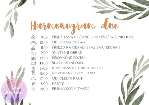 OLIVOVNÍK harmonogram dne