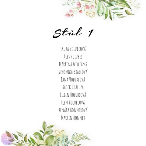 GEO zasedací pořádek