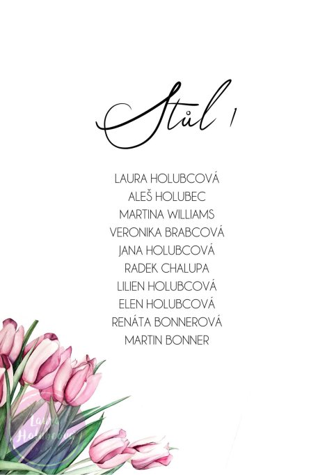 TULUPÁNY zasedací pořádek