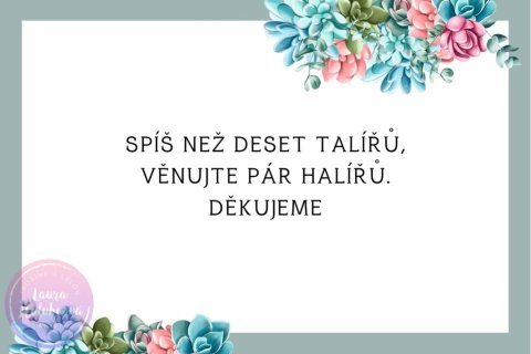 SUKULENTY kartička dary