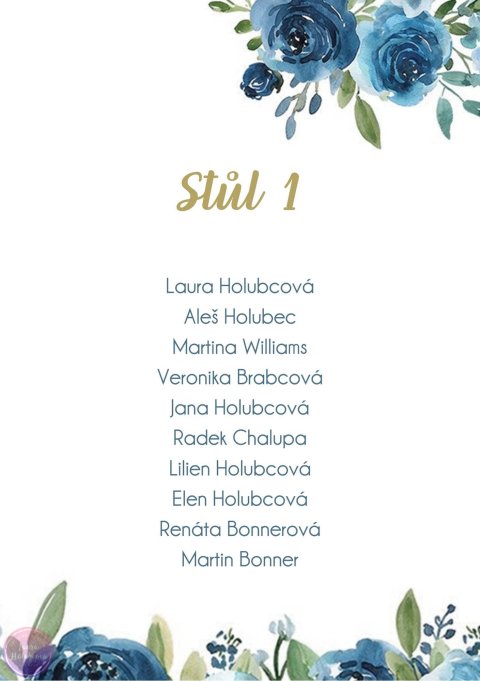 MODRÉ RŮŽE zasedací pořádek