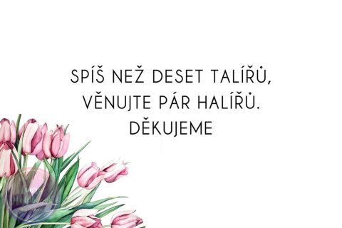 TULIPÁNY kartička dary