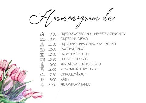 TULIPÁNY harmonogram dne