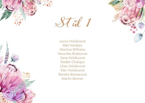 PROTEA zasedací pořádek